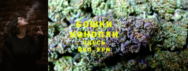 Шишки марихуана Bruce Banner  дарк нет как зайти  Кукмор 